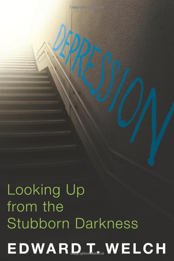 Depression: Looking Up from the Stubborn Darkness