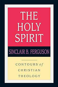 The Holy Spirit: Contours of Christian Theology