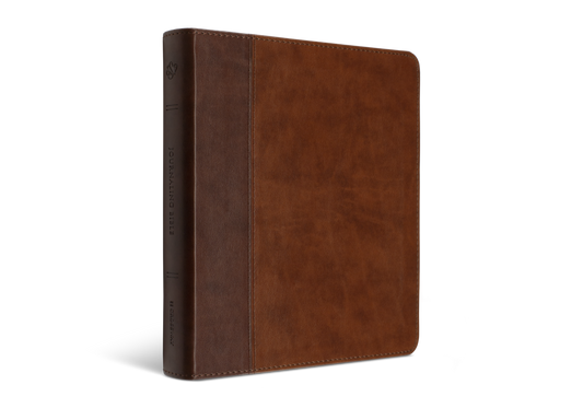 ESV Journaling Bible (Brown/Tan)