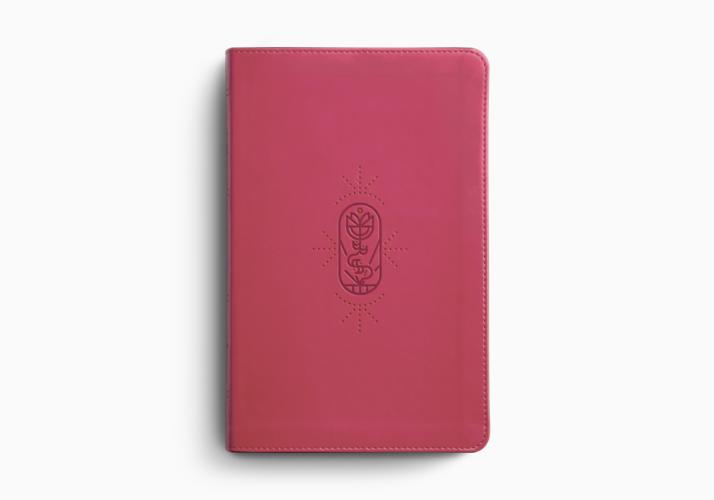 ESV Kids Bible (Thinline TruTone)