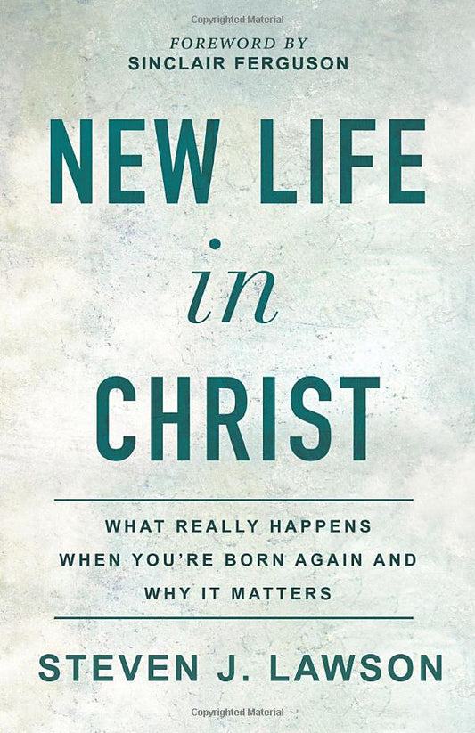 New Life in Christ